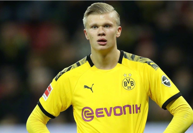 假投真传 假投真传